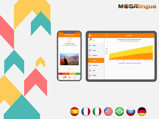 MosaLingua Web (Language Learning): One Year Subscription For $29 ...